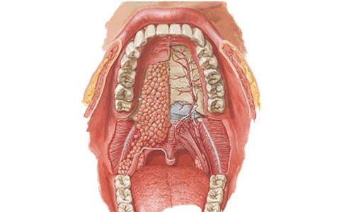 بیماری های دهان و تشخیص